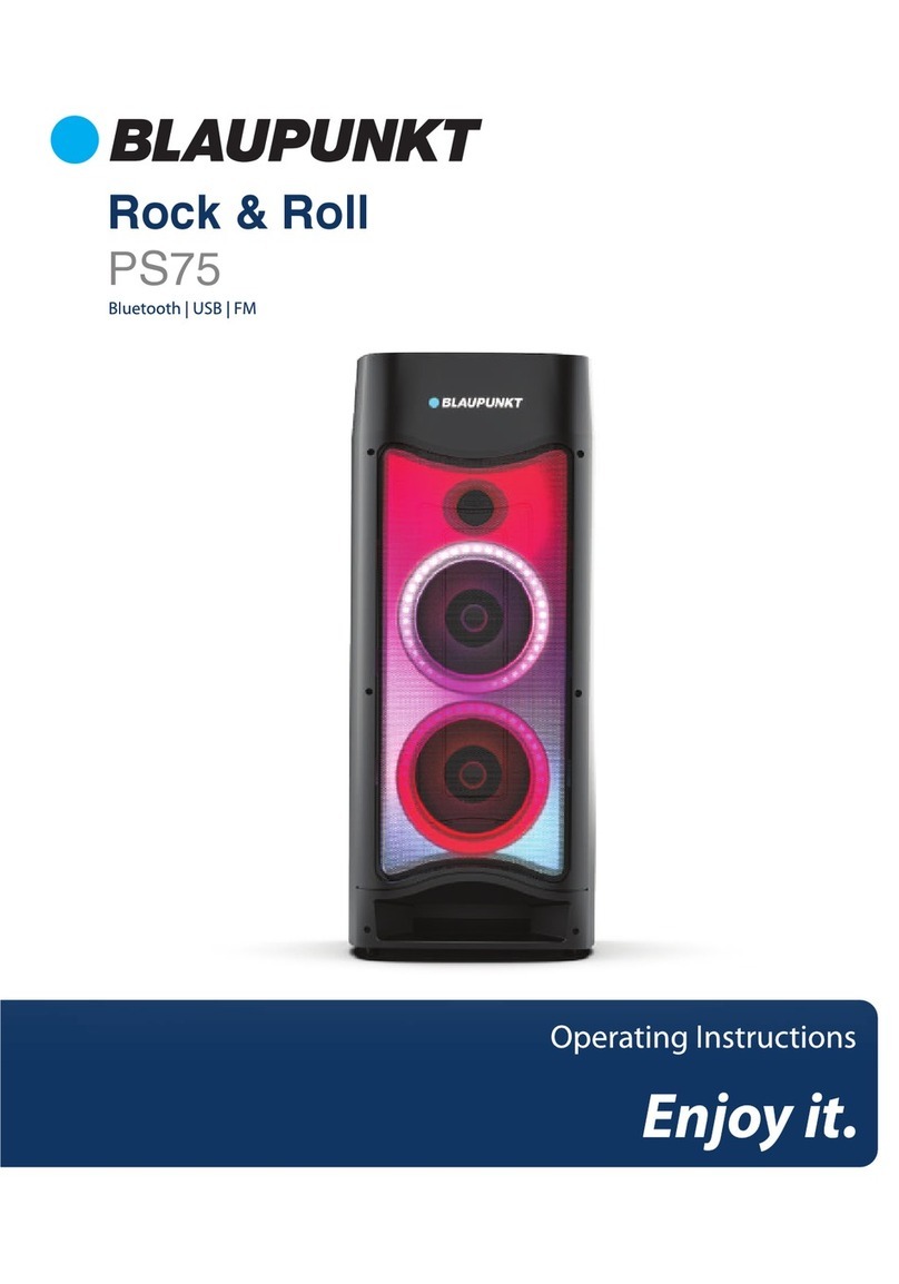 Blaupunkt Rock & Roll PS75 User manual