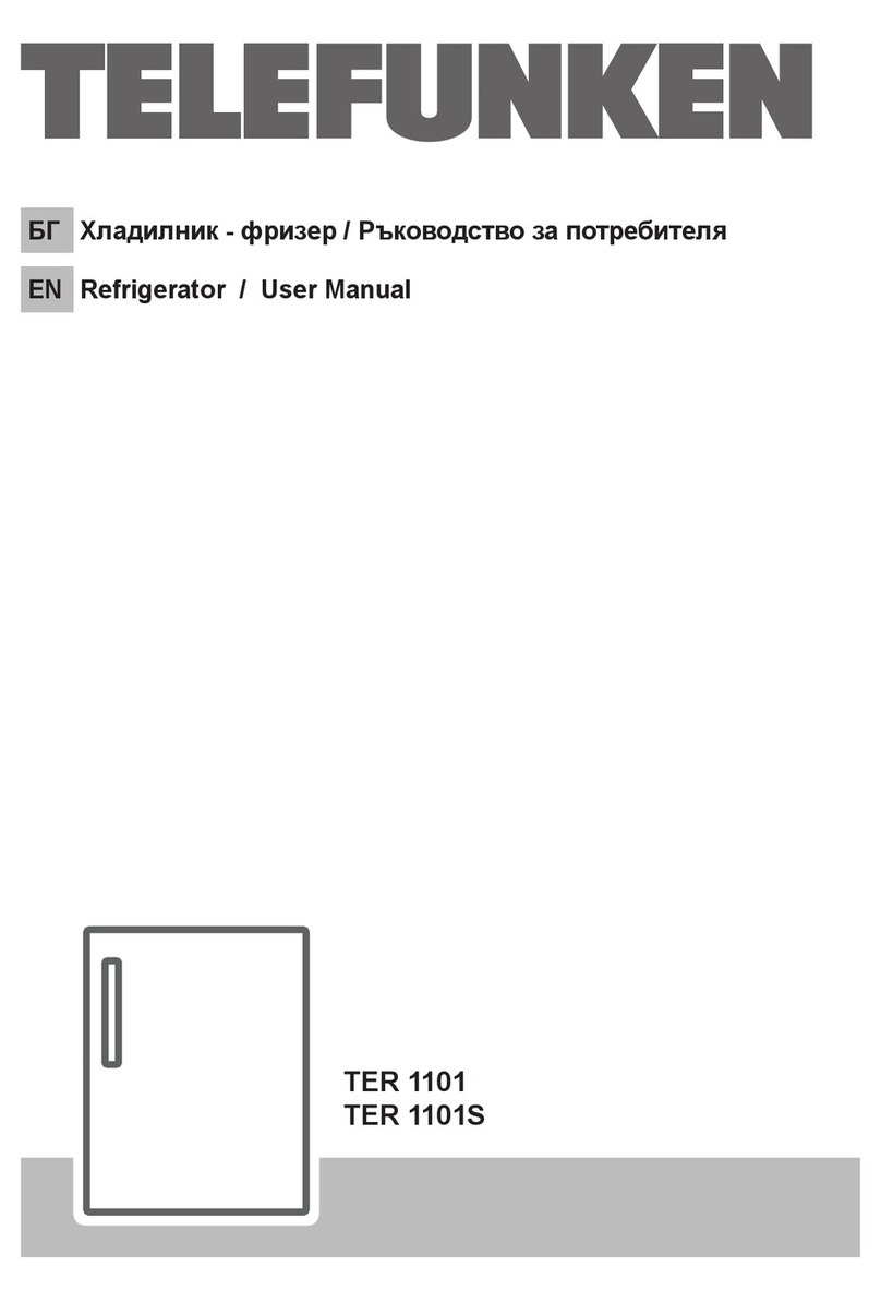 Telefunken TER 1101S user manual