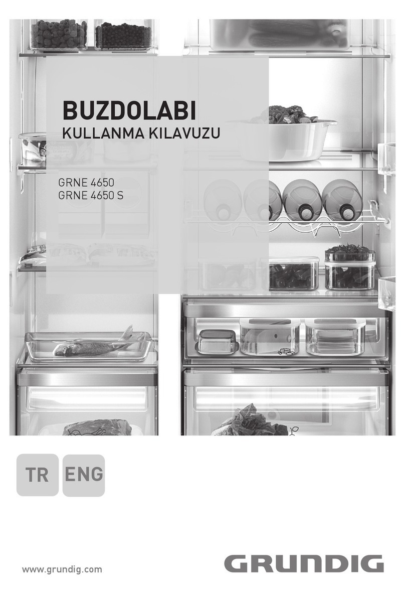 Grundig GRNE 4650 user manual