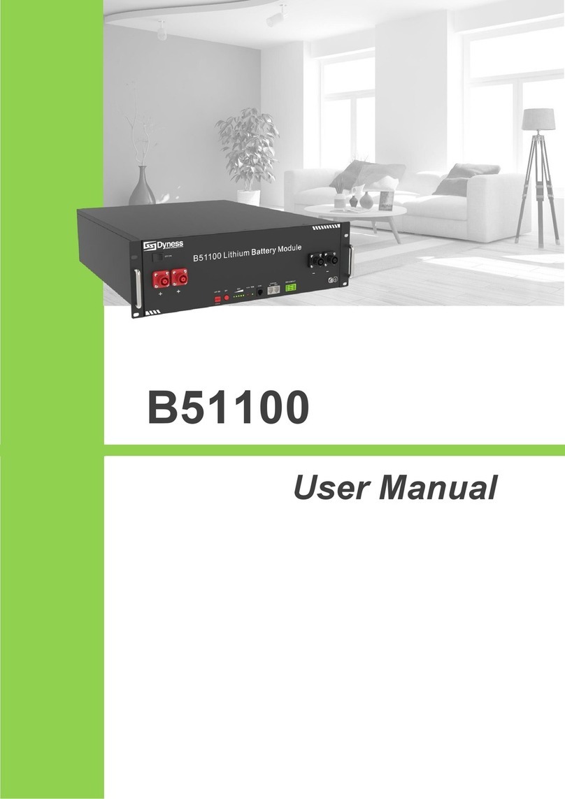 Dyness B51100 user manual