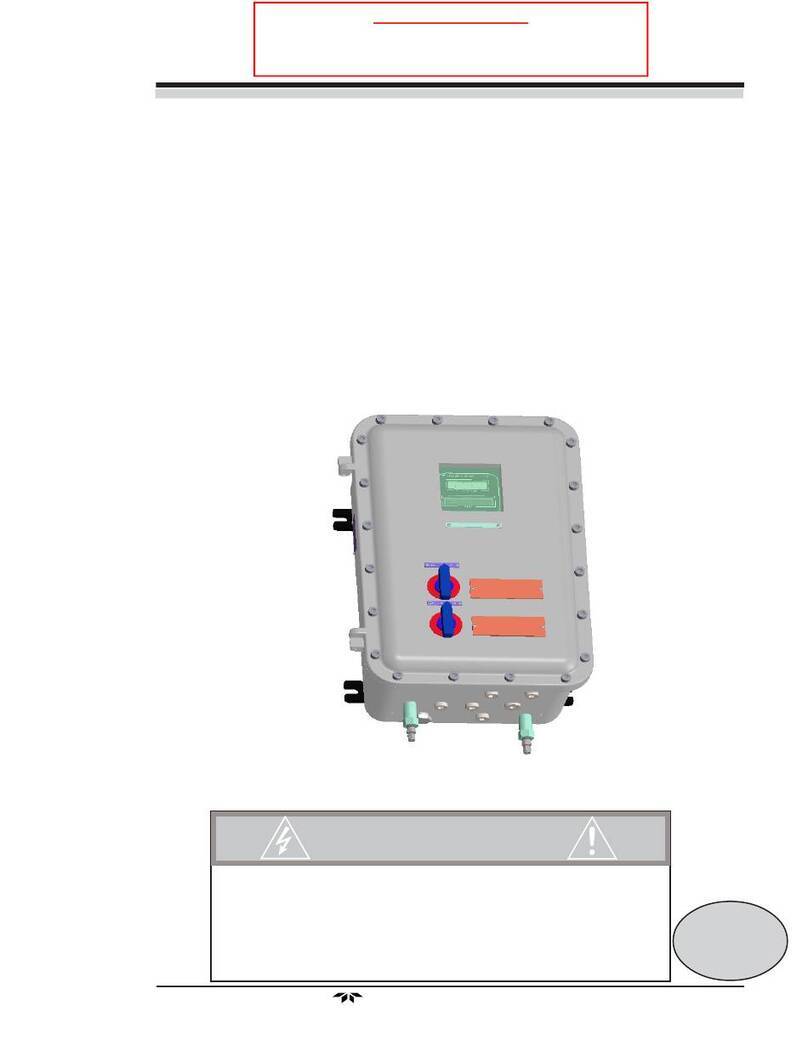 Teledyne Analytical Instruments 3020 P operating instructions
