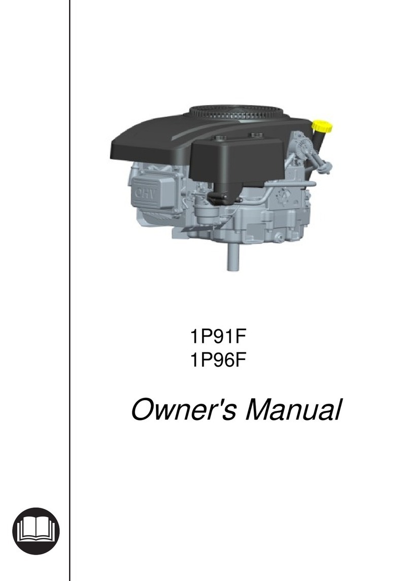 LONCIN 1P91F User manual