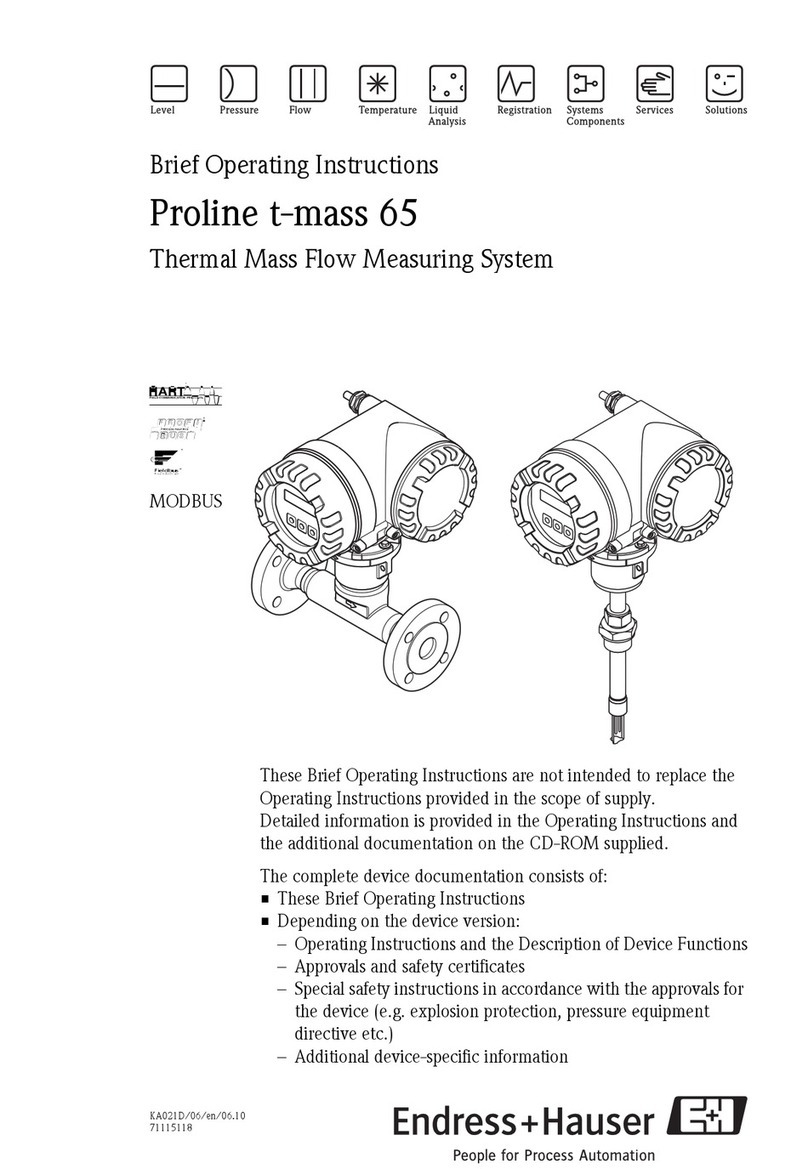 Endress+Hauser Proline t-mass 65 Technical specifications