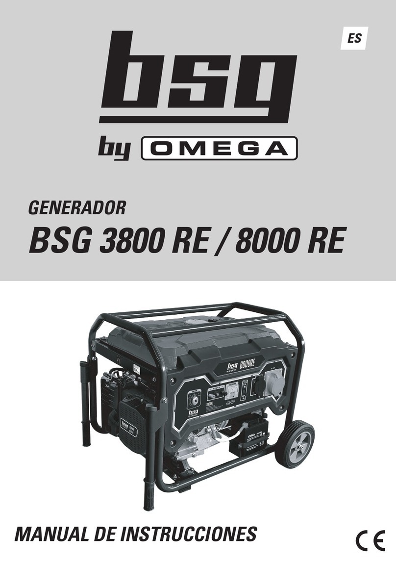 Omega BSG 3800 RE manual Omega BSG 3800 RE manual
