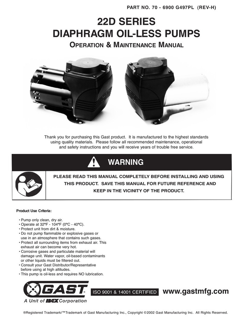 Idex GAST 22D Series Operation & maintenance manual Idex GAST 22D Series Operation & maintenance manual