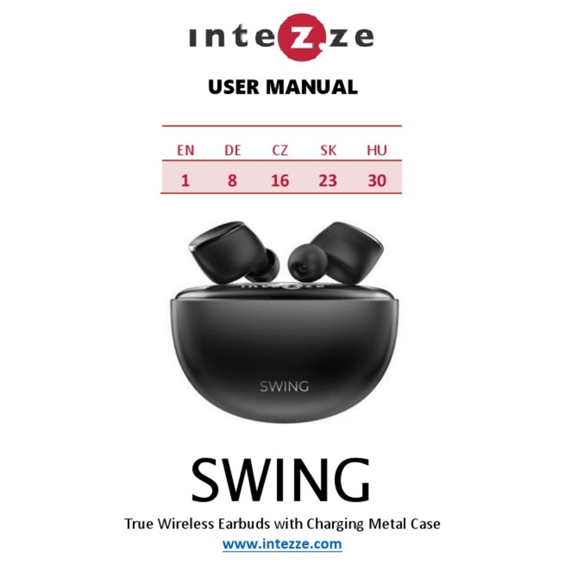 INTEZZE SWING user manual