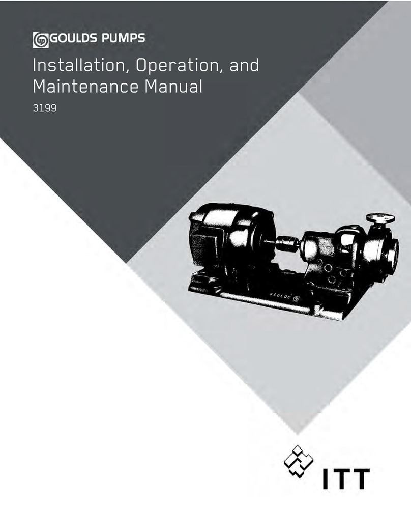 Goulds Pumps 3199 User manual