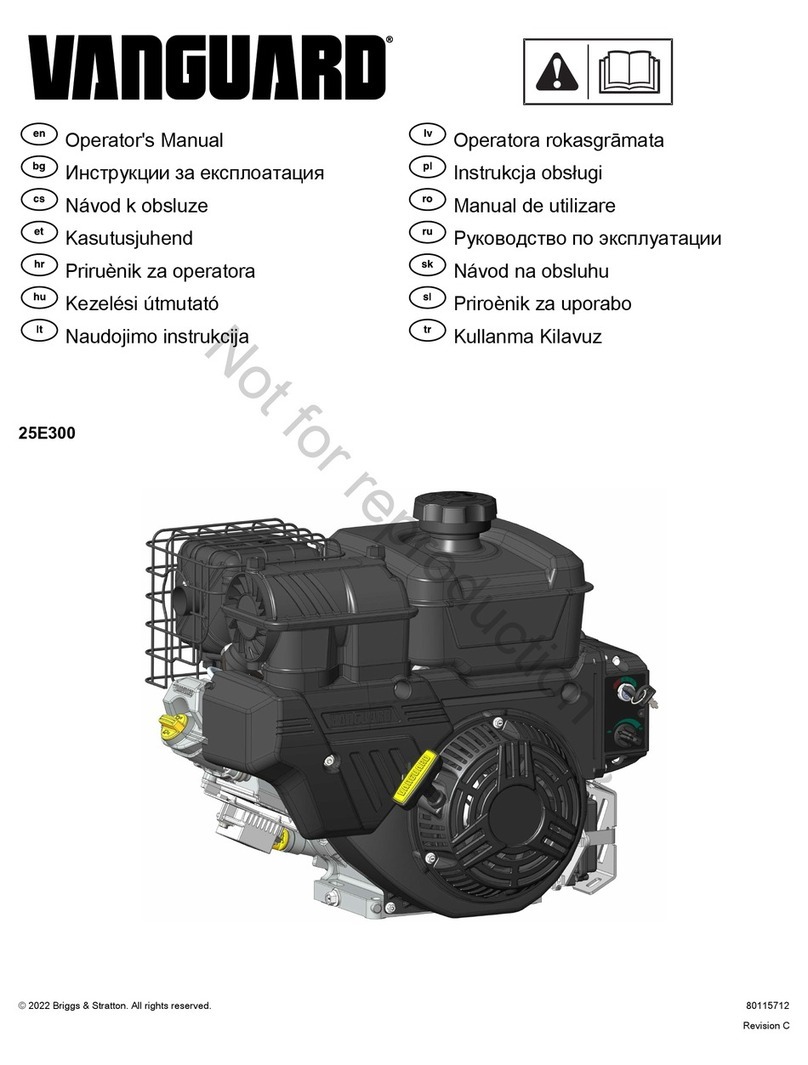 Vanguard 25E300 User manual
