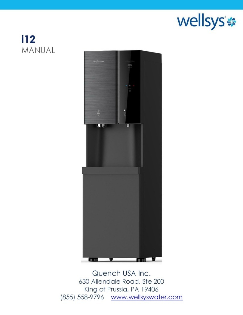 Wellsys i12 manual