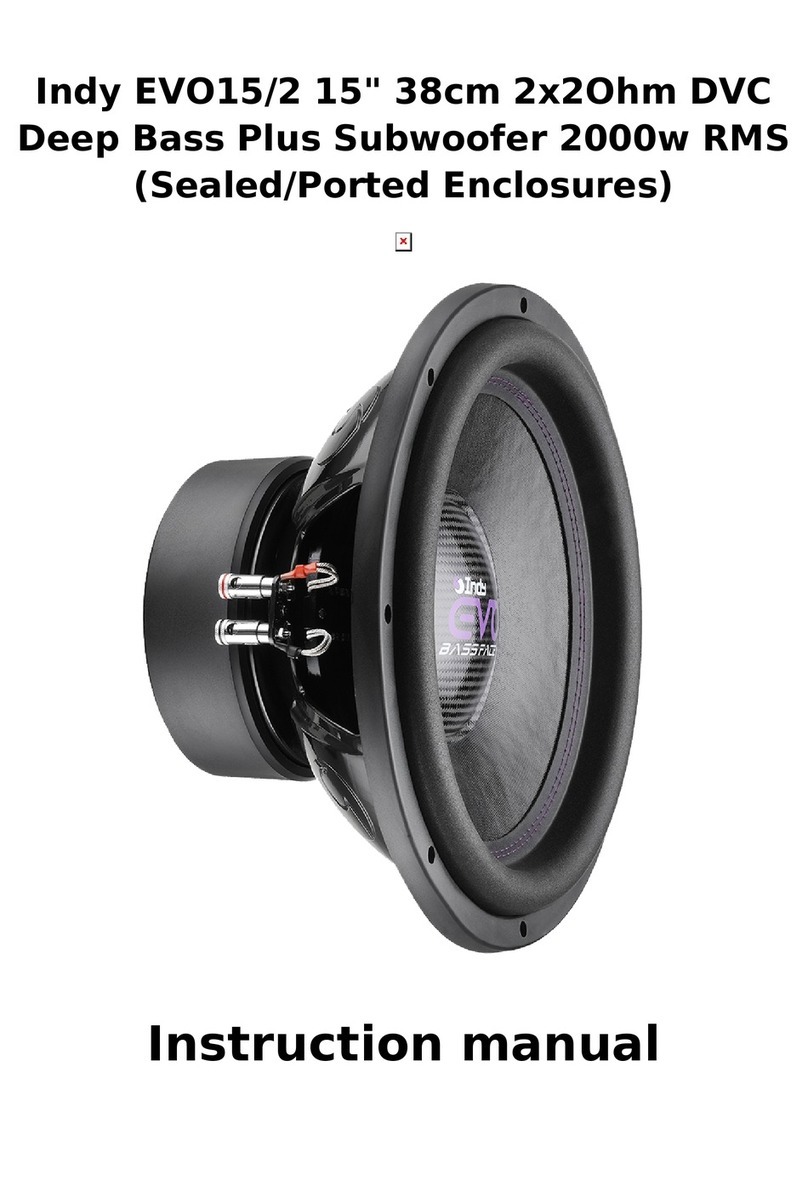 BASSFACE Indy EVO15/2 instruction manual
