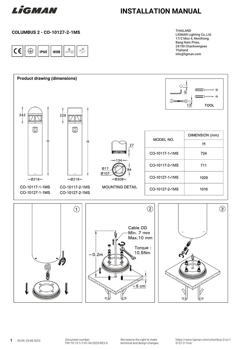 LIGMAN CO-10127-2-1MS User manual