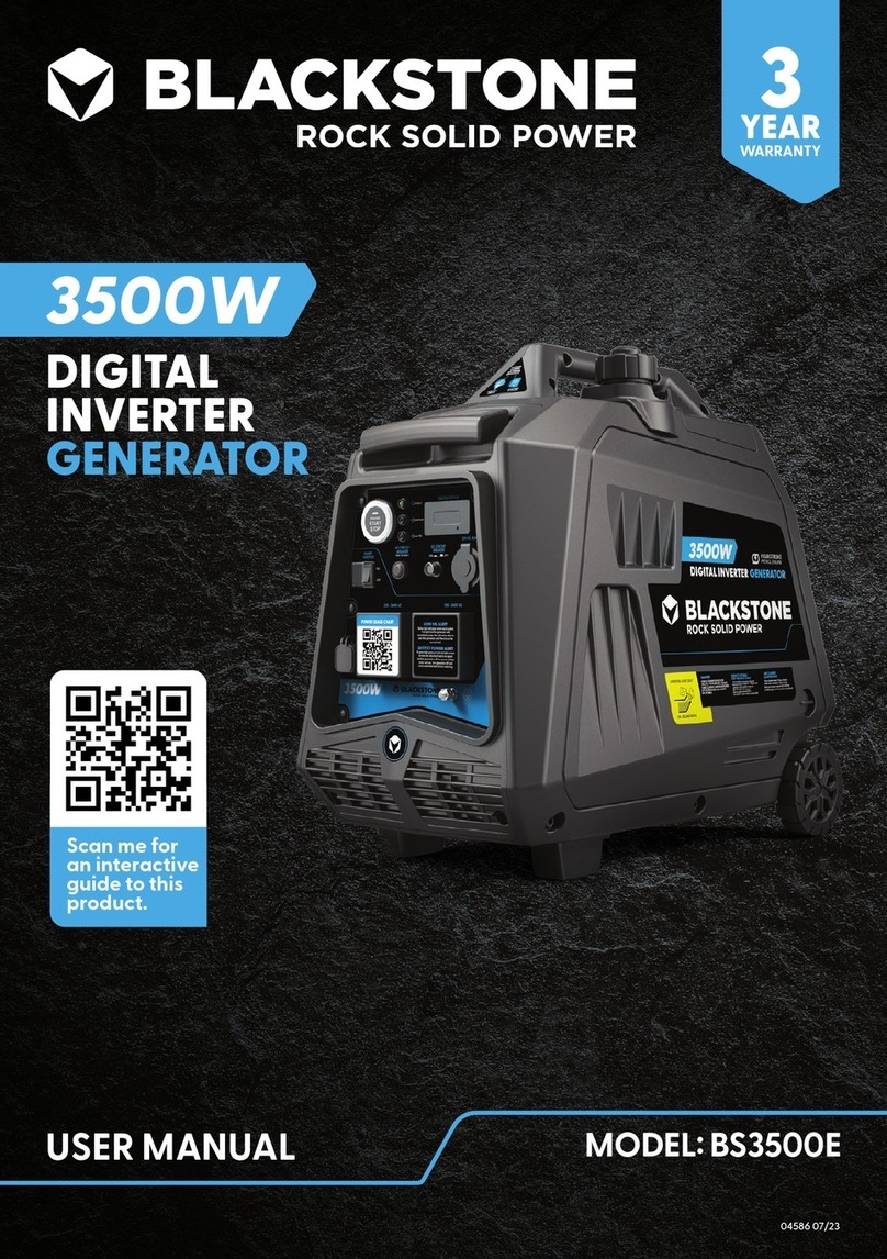 Black Stone BS3500E user manual