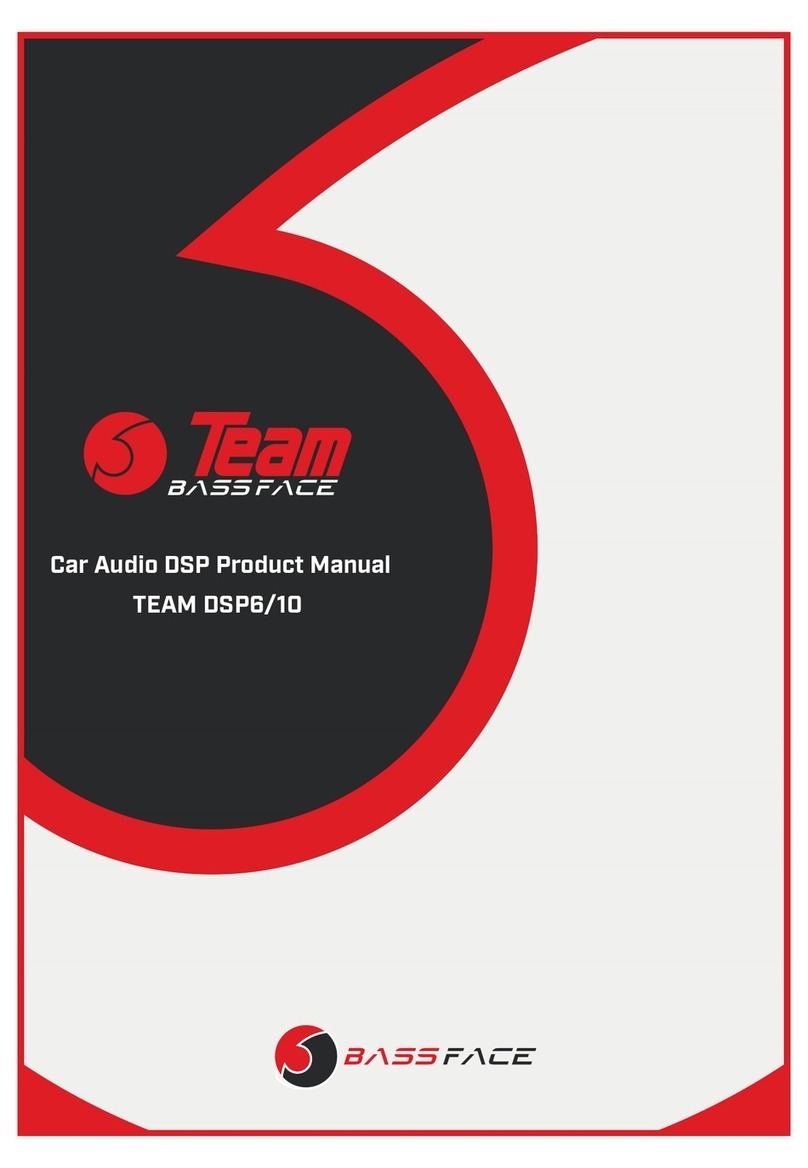 BASSFACE TEAM DSP6/10 product manual