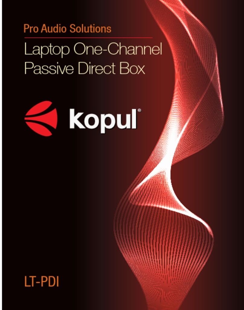 Kopul LT-PDI quick start guide