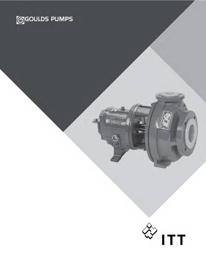 Goulds Pumps 3198 User manual