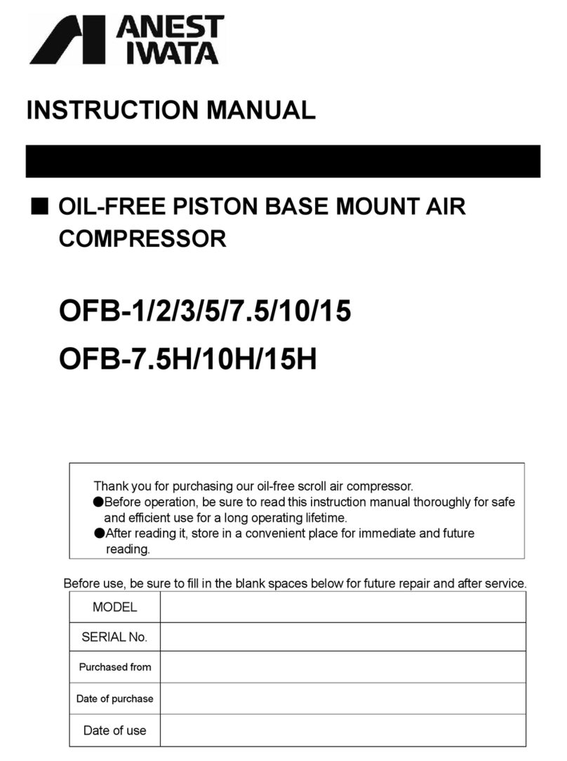 Anest Iwata OFB-1 instruction manual