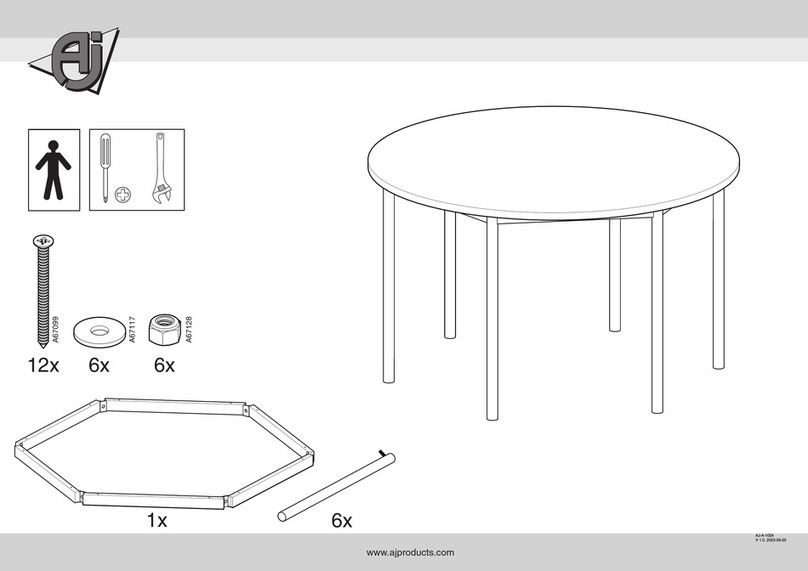 AJ BORAS User manual