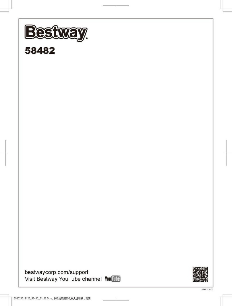 Bestway Flowclear Aquatronix 58482 manual