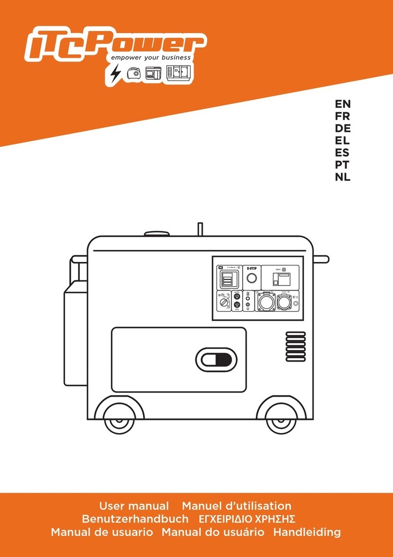 ITC Power DG6000SE user manual