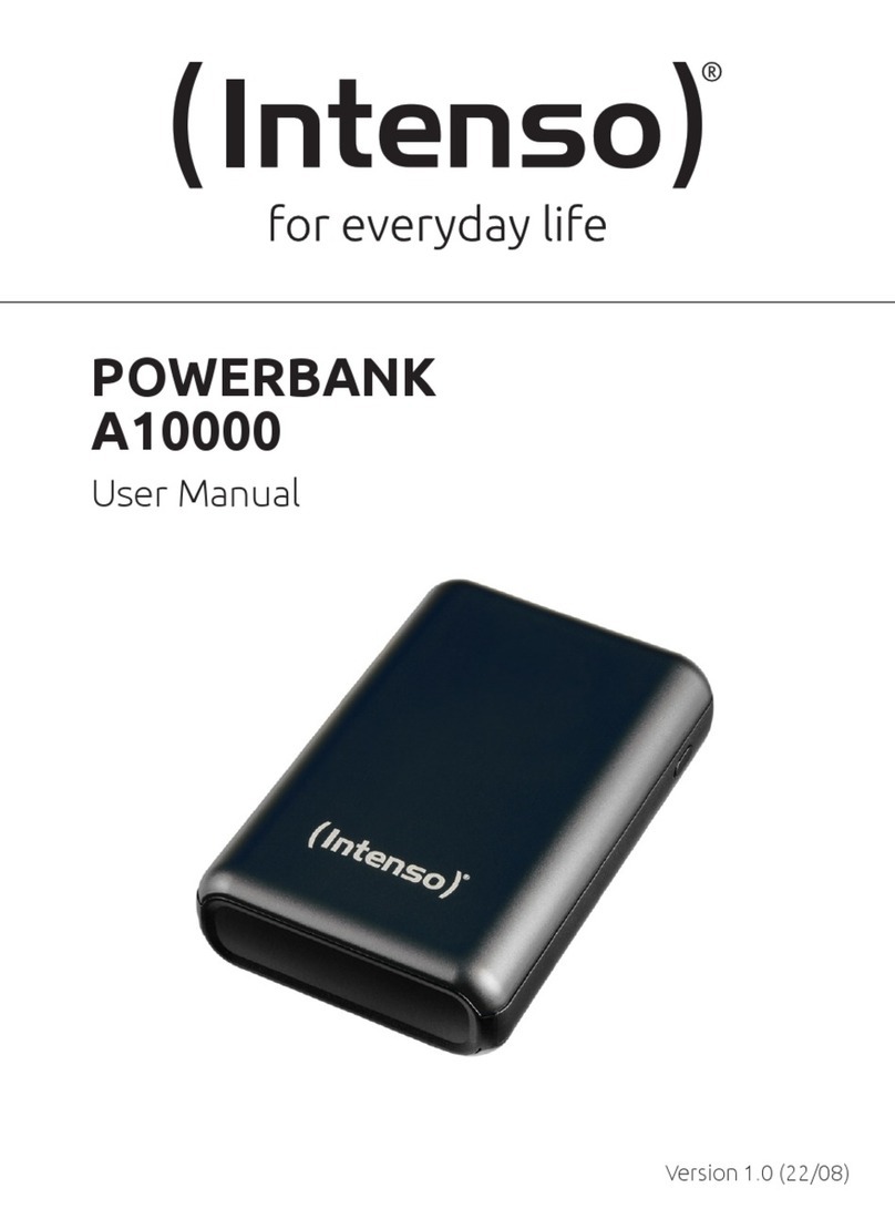 Intenso A10000 user manual