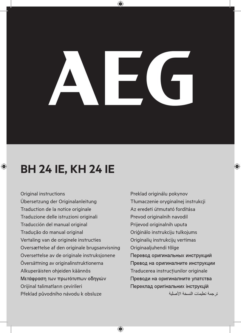 AE BH 24 IE Original instructions