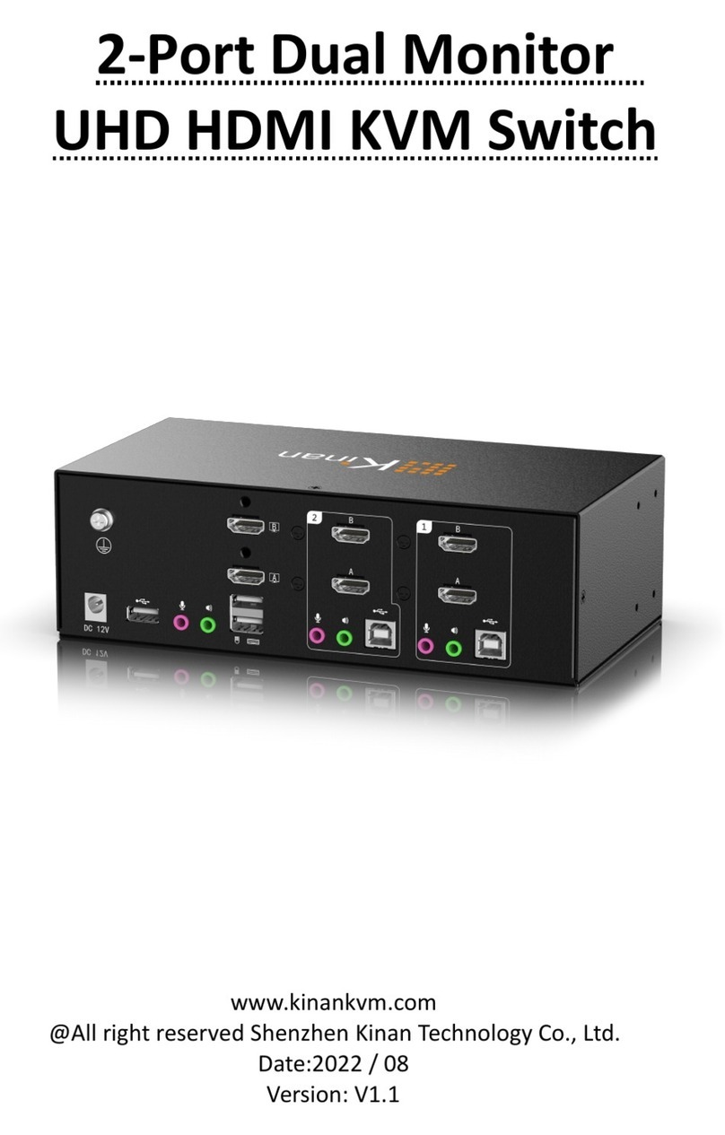 KinAn DM6202 User manual