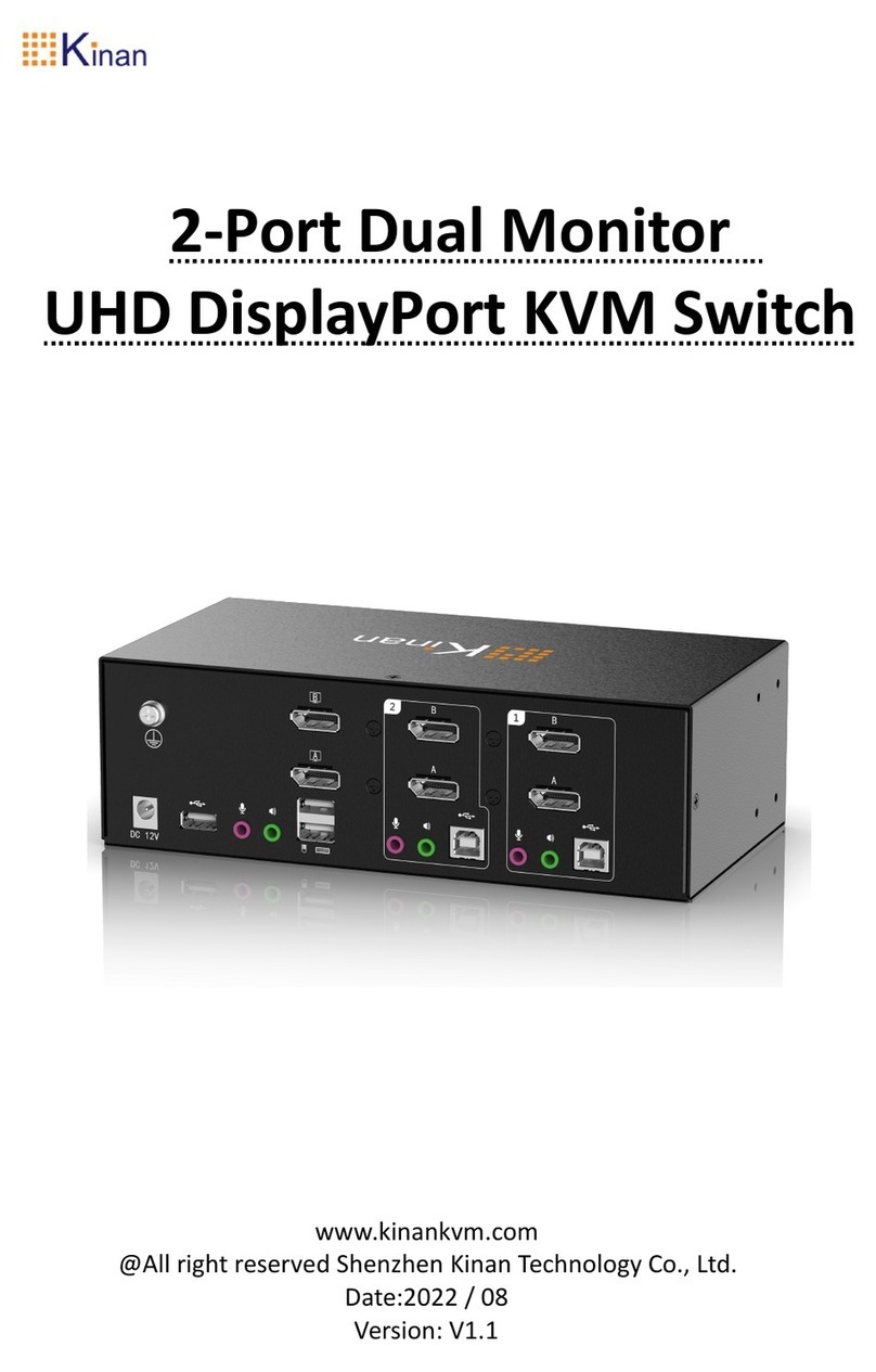 KinAn DM5202 User manual