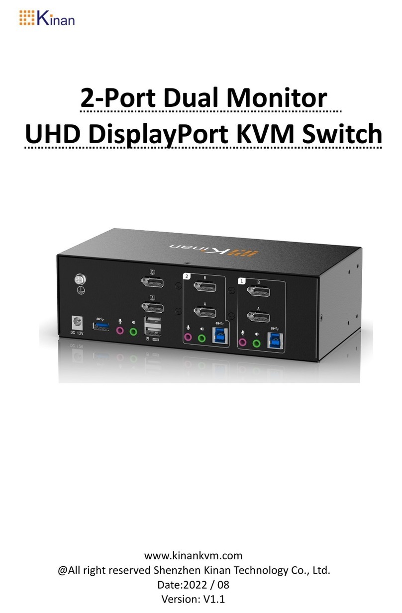 KinAn DM5232 User manual