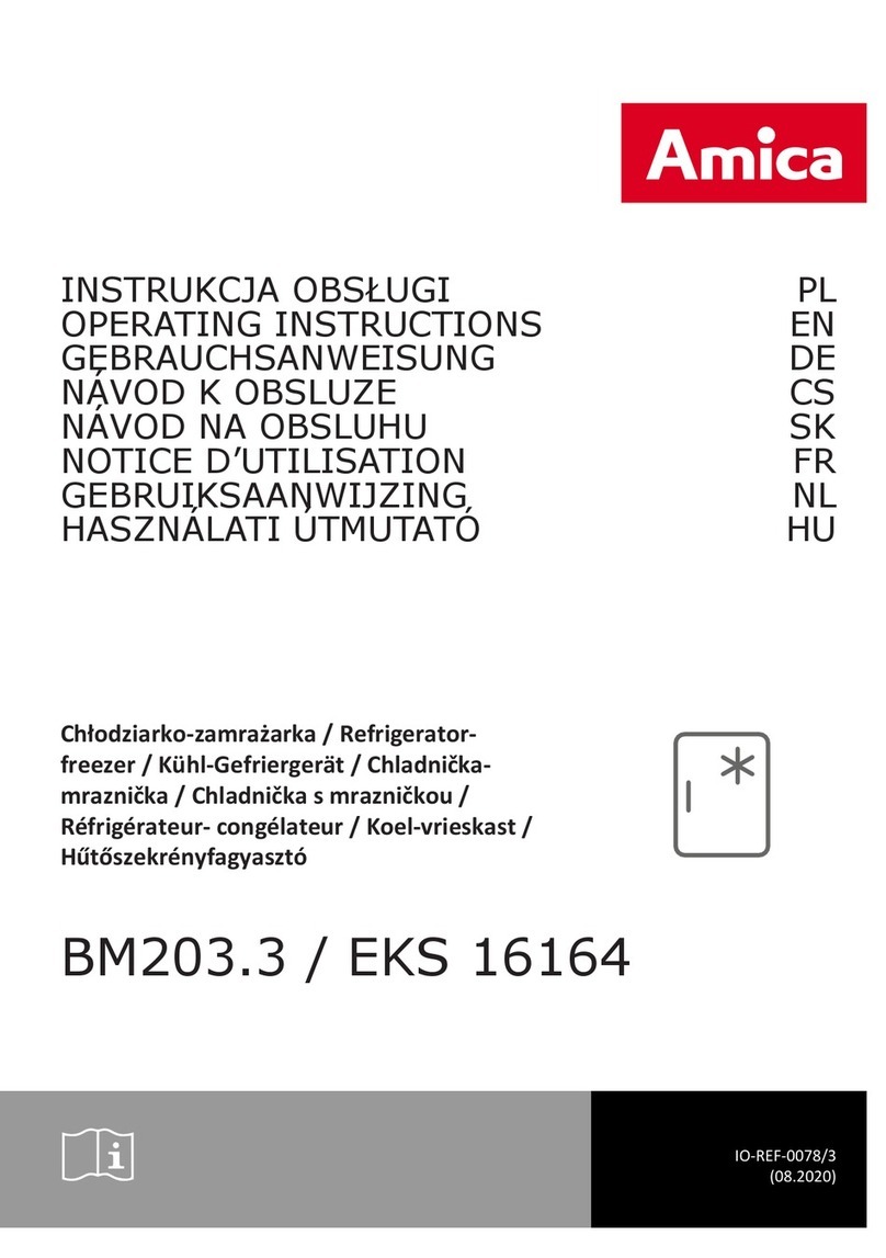 Amica BM203 3 Series User manual Amica BM203 3 Series User manual