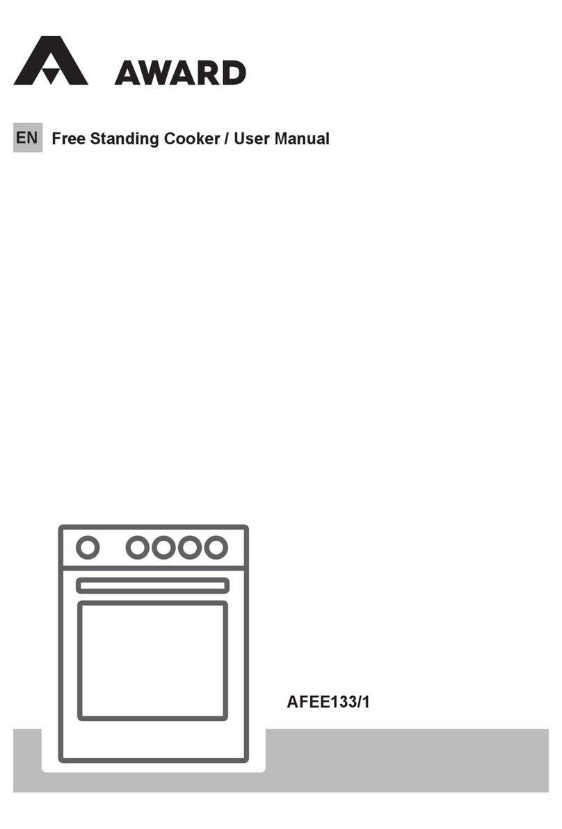 Award AFEE133/1 user manual