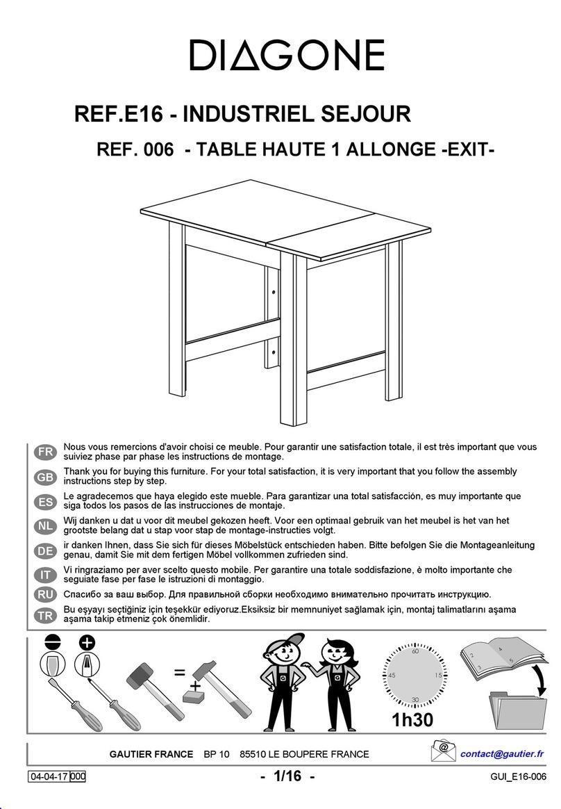 Diagone E16 006 quick start guide Diagone E16 006 quick start guide