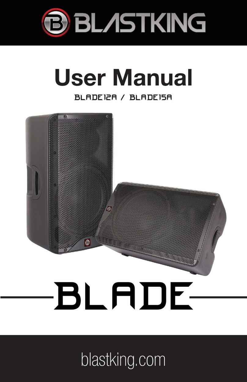 BlastKing BLADE12A user manual