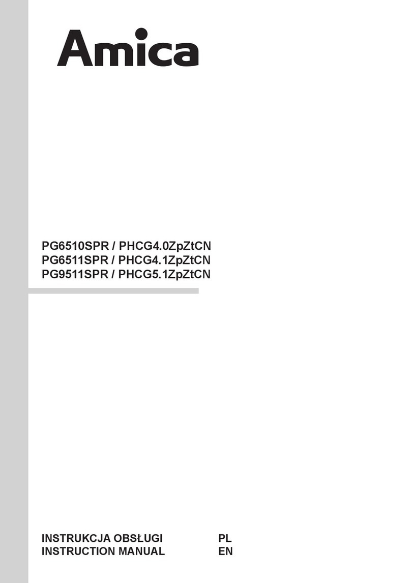 Amica PG6510SPR User manual Amica PG6510SPR User manual