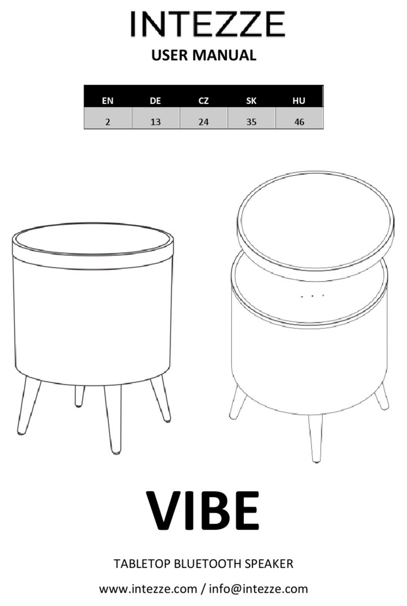 INTEZZE VIBE user manual