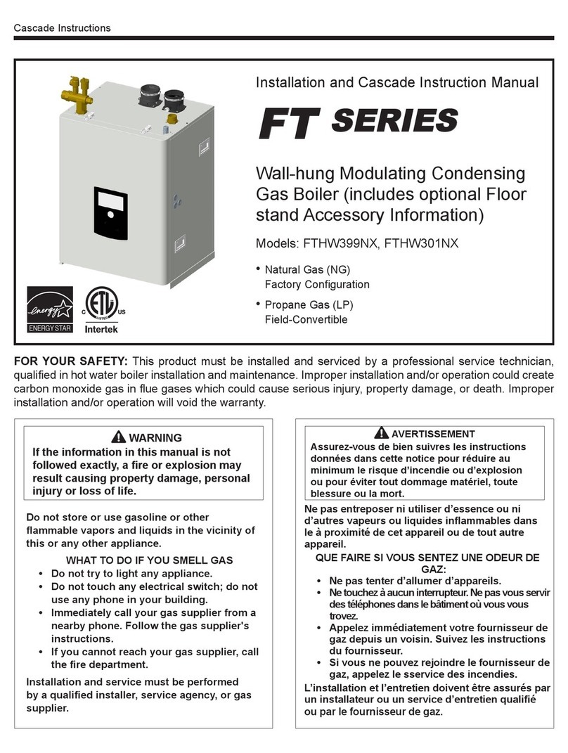 Bradford White FT Series Installation and instruction manual