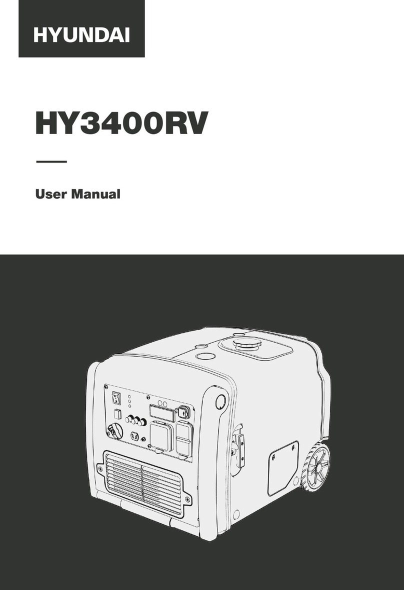 Hyundai HY3400RV user manual