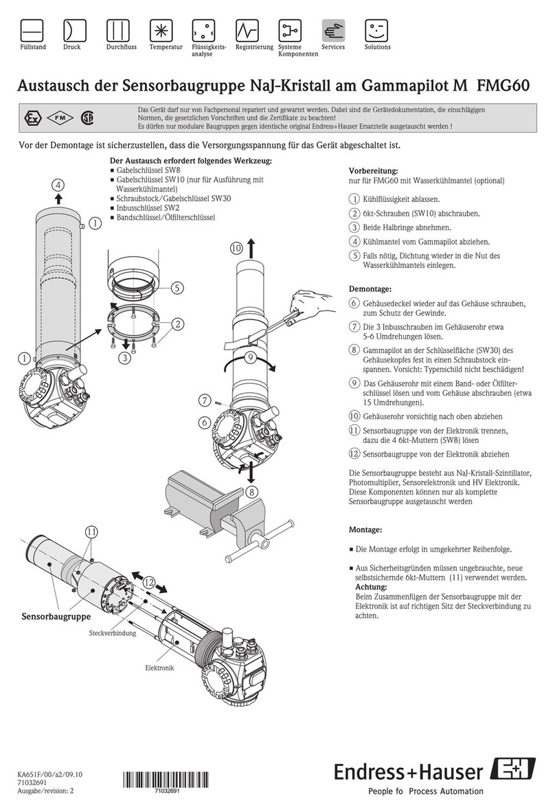 Endress+Hauser Gammapilot M FMG60 manual