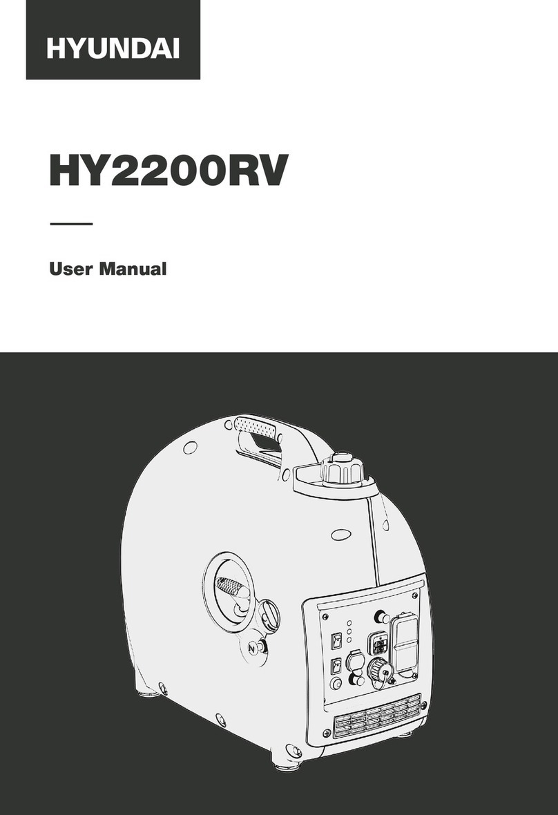 Hyundai HY2200RV user manual