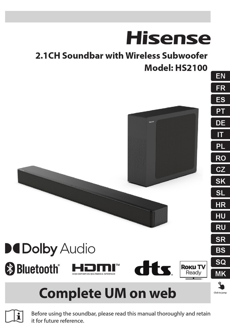 Hisense HS2100 User manual