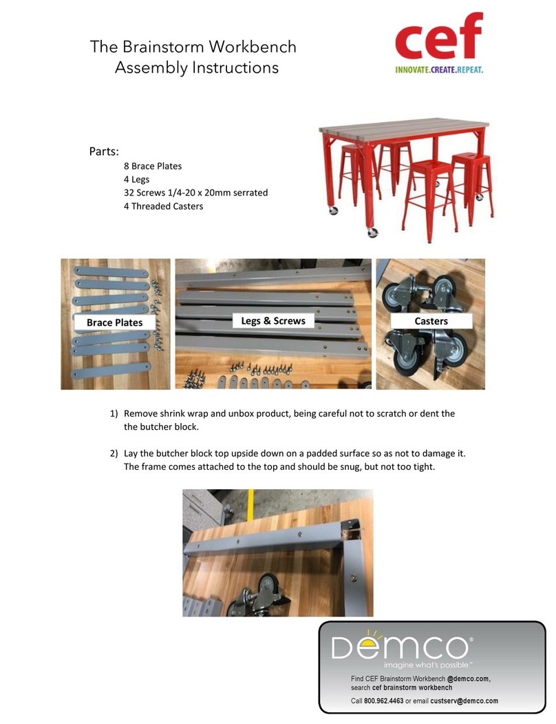 cef The Brainstorm Workbench User manual