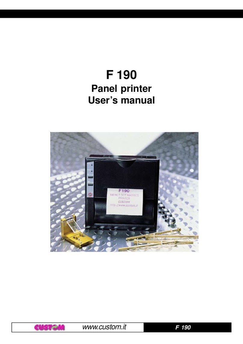 Custom Audio Electronics F 190 User manual