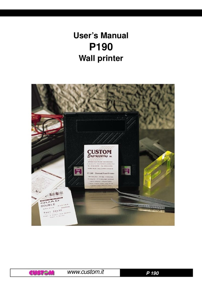 Custom Audio Electronics P190 User manual