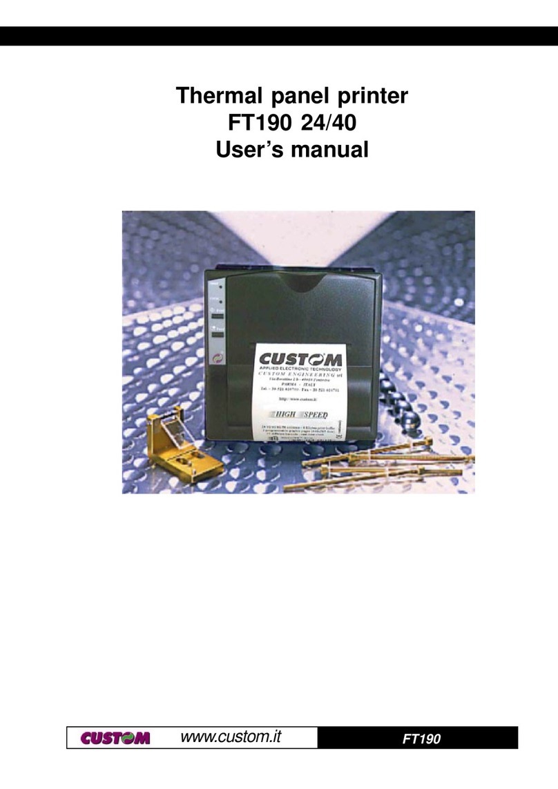 Custom Audio Electronics FT190 User manual