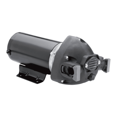 Xylem FLOJET Triplex Series installation guide