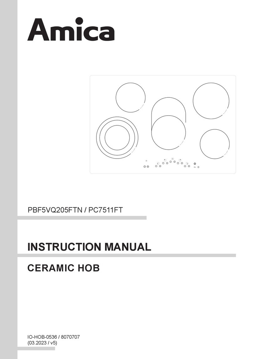 Amica PBF5VQ205FTN User manual