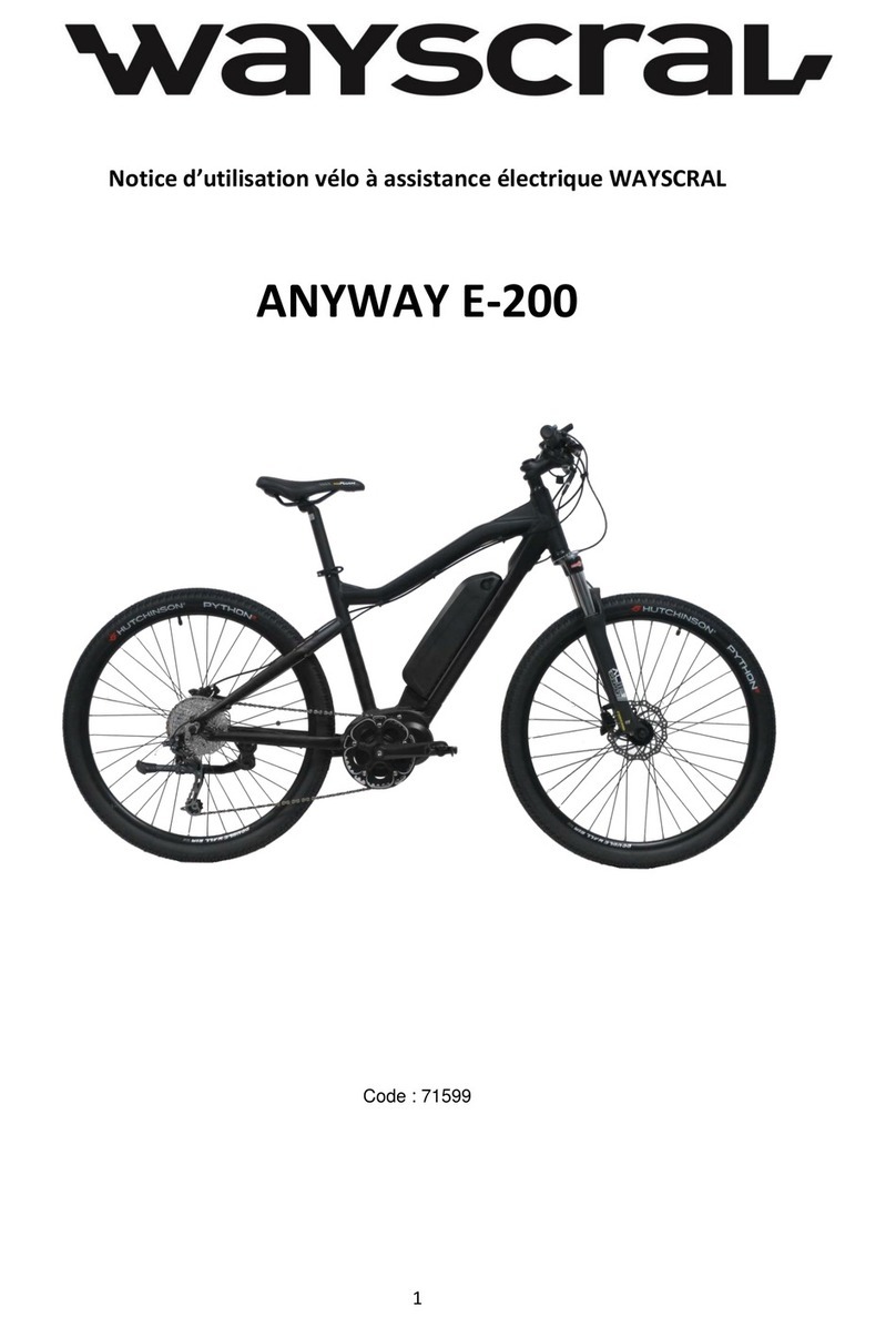 wayscral ANYWAY E-200 User manual