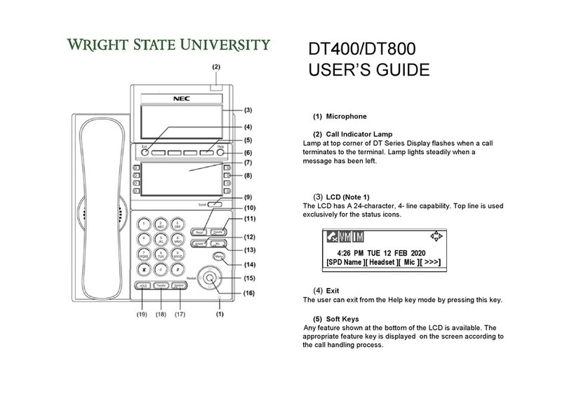 NEC DT400 User manual