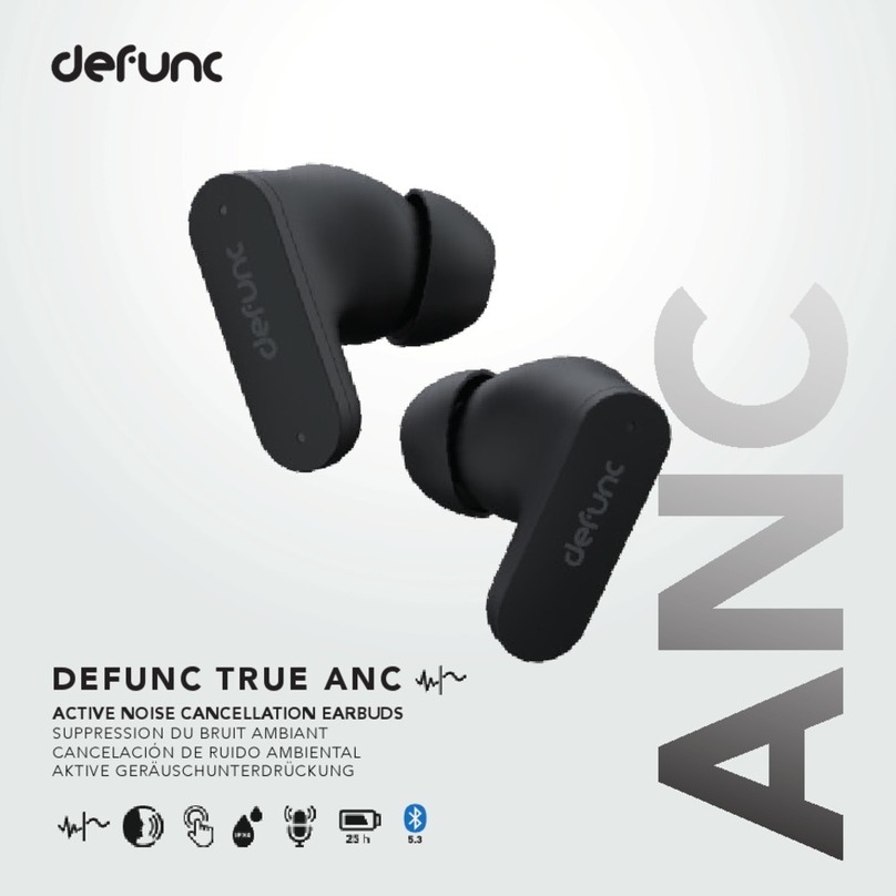 DeFunc TRUE ANC manual