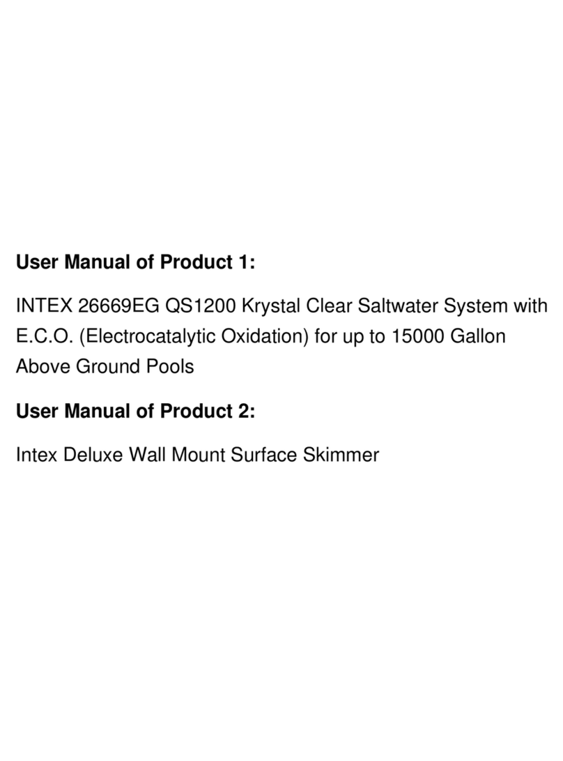 Intex 26669EG User manual