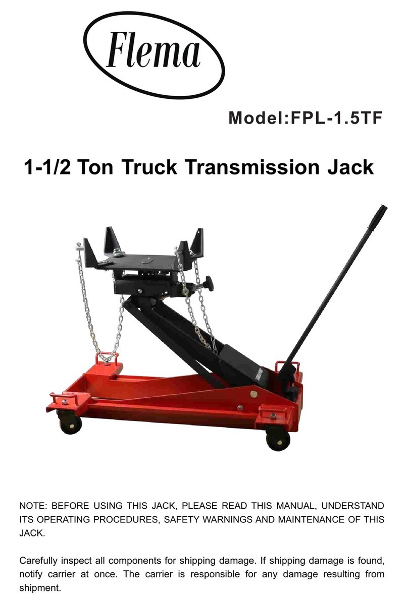 FLEMA FPL-1.5TF quick start guide FLEMA FPL-1.5TF quick start guide